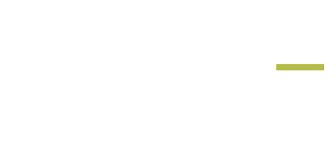 point fort fichet logo blanc